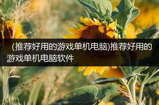 （推荐好用的游戏单机电脑)推荐好用的游戏单机电脑软件