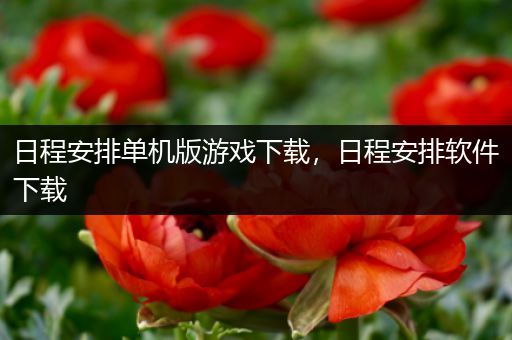 日程安排单机版游戏下载，日程安排软件下载