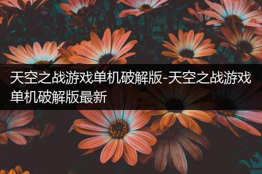 天空之战游戏单机破解版-天空之战游戏单机破解版最新