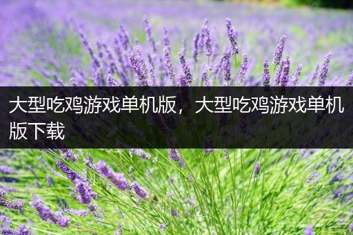 大型吃鸡游戏单机版，大型吃鸡游戏单机版下载