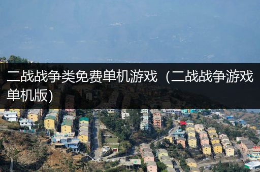 二战战争类免费单机游戏（二战战争游戏单机版）