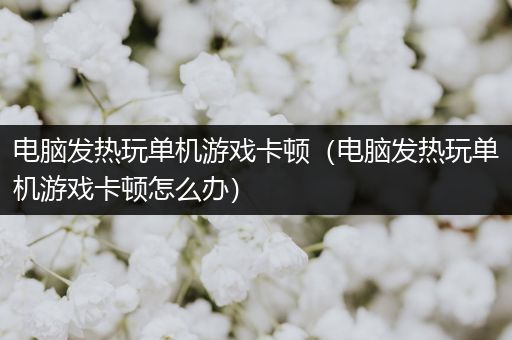 电脑发热玩单机游戏卡顿（电脑发热玩单机游戏卡顿怎么办）