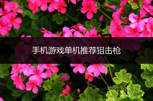 手机游戏单机推荐狙击枪