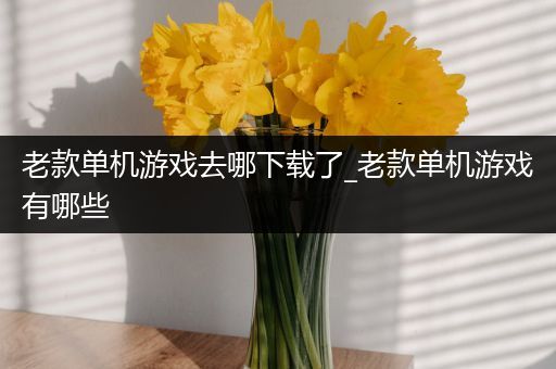 老款单机游戏去哪下载了_老款单机游戏有哪些