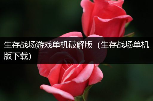 生存战场游戏单机破解版（生存战场单机版下载）