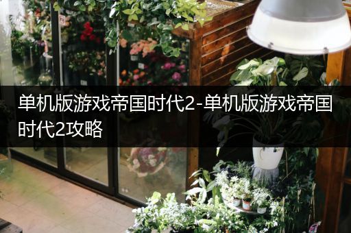单机版游戏帝国时代2-单机版游戏帝国时代2攻略