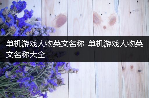 单机游戏人物英文名称-单机游戏人物英文名称大全