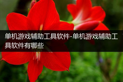 单机游戏辅助工具软件-单机游戏辅助工具软件有哪些