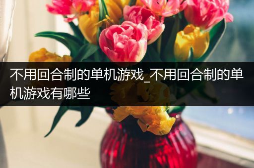 不用回合制的单机游戏_不用回合制的单机游戏有哪些