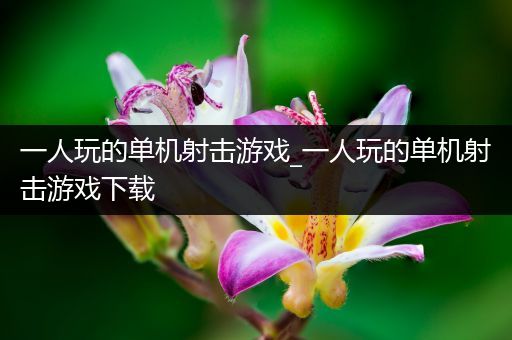 一人玩的单机射击游戏_一人玩的单机射击游戏下载