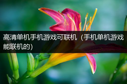 高清单机手机游戏可联机（手机单机游戏能联机的）