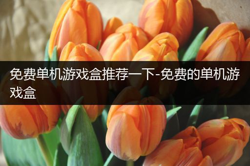 免费单机游戏盒推荐一下-免费的单机游戏盒