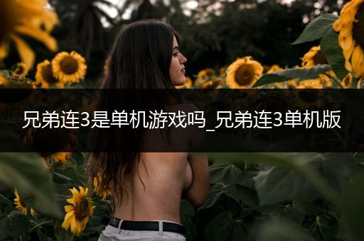 兄弟连3是单机游戏吗_兄弟连3单机版