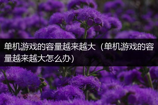 单机游戏的容量越来越大（单机游戏的容量越来越大怎么办）