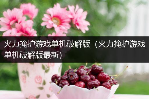 火力掩护游戏单机破解版（火力掩护游戏单机破解版最新）