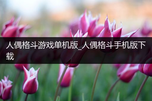 人偶格斗游戏单机版_人偶格斗手机版下载
