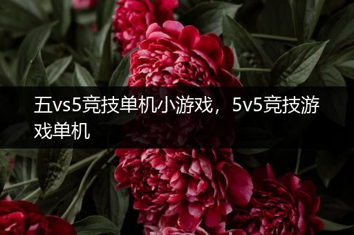 五vs5竞技单机小游戏，5v5竞技游戏单机