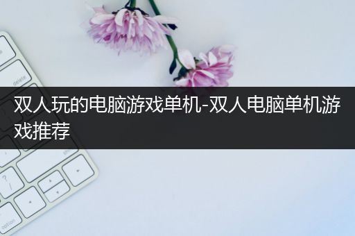 双人玩的电脑游戏单机-双人电脑单机游戏推荐
