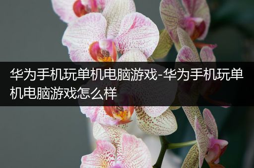 华为手机玩单机电脑游戏-华为手机玩单机电脑游戏怎么样