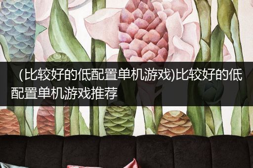 （比较好的低配置单机游戏)比较好的低配置单机游戏推荐