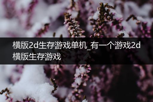 横版2d生存游戏单机_有一个游戏2d横版生存游戏