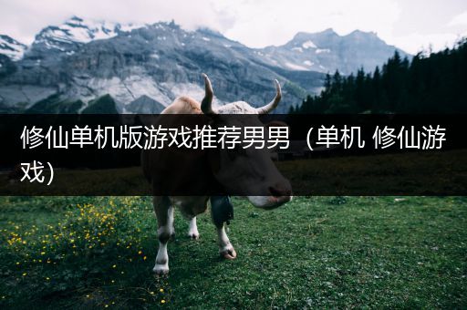 修仙单机版游戏推荐男男（单机 修仙游戏）