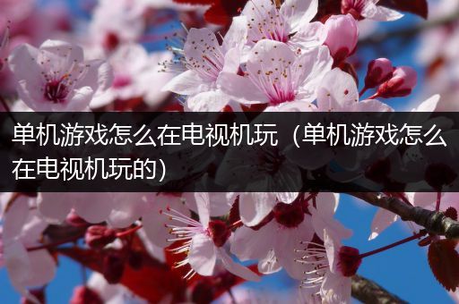 单机游戏怎么在电视机玩（单机游戏怎么在电视机玩的）
