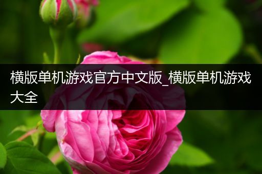 横版单机游戏官方中文版_横版单机游戏大全