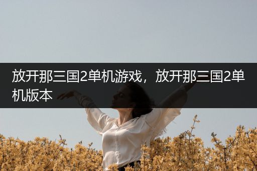 放开那三国2单机游戏，放开那三国2单机版本