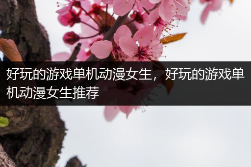 好玩的游戏单机动漫女生，好玩的游戏单机动漫女生推荐