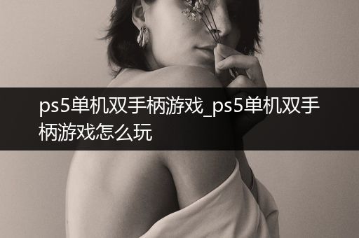 ps5单机双手柄游戏_ps5单机双手柄游戏怎么玩