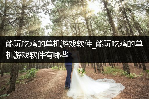 能玩吃鸡的单机游戏软件_能玩吃鸡的单机游戏软件有哪些