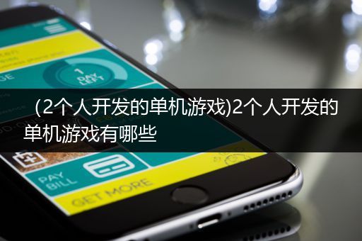 （2个人开发的单机游戏)2个人开发的单机游戏有哪些