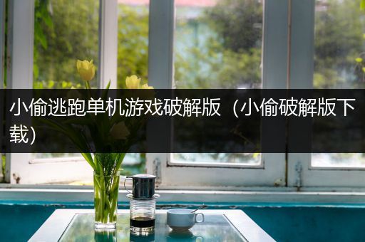 小偷逃跑单机游戏破解版（小偷破解版下载）