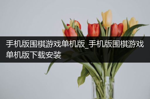 手机版围棋游戏单机版_手机版围棋游戏单机版下载安装