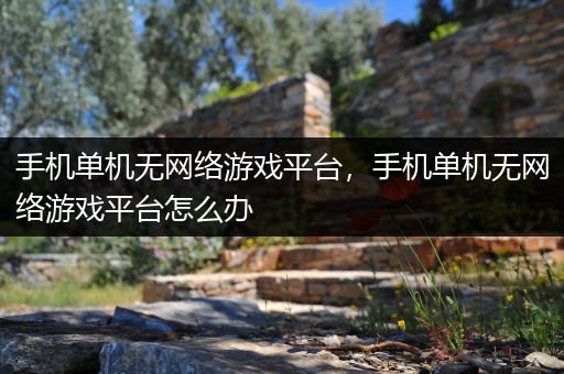 手机单机无网络游戏平台，手机单机无网络游戏平台怎么办