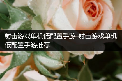 射击游戏单机低配置手游-射击游戏单机低配置手游推荐