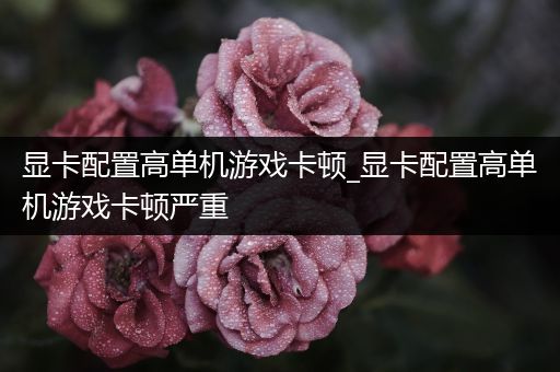显卡配置高单机游戏卡顿_显卡配置高单机游戏卡顿严重