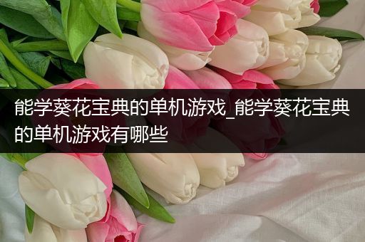 能学葵花宝典的单机游戏_能学葵花宝典的单机游戏有哪些