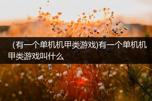 （有一个单机机甲类游戏)有一个单机机甲类游戏叫什么