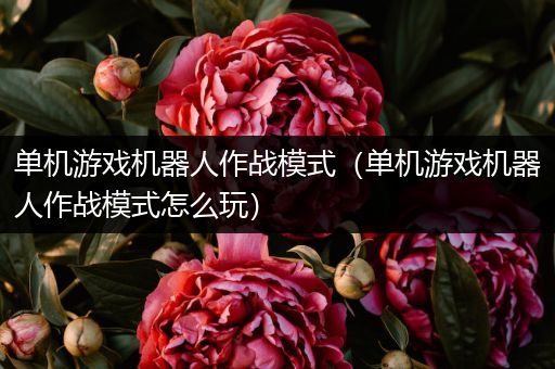 单机游戏机器人作战模式（单机游戏机器人作战模式怎么玩）