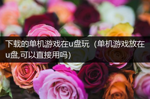 下载的单机游戏在u盘玩（单机游戏放在u盘,可以直接用吗）