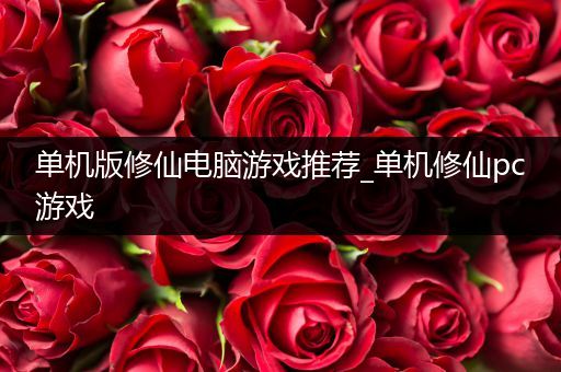 单机版修仙电脑游戏推荐_单机修仙pc游戏