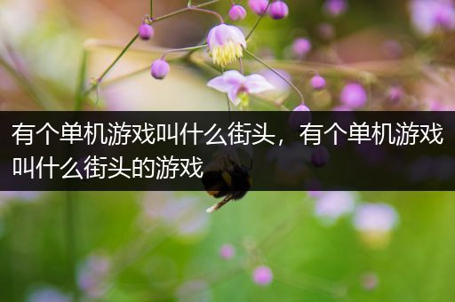 有个单机游戏叫什么街头，有个单机游戏叫什么街头的游戏