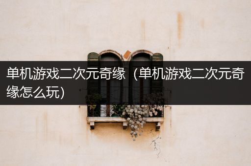 单机游戏二次元奇缘（单机游戏二次元奇缘怎么玩）