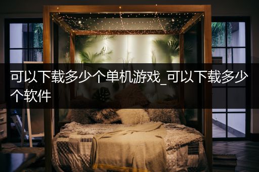 可以下载多少个单机游戏_可以下载多少个软件