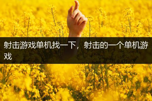 射击游戏单机找一下，射击的一个单机游戏