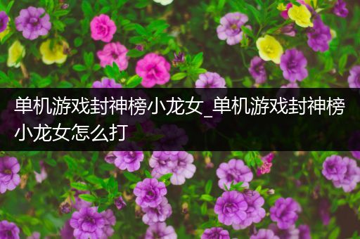 单机游戏封神榜小龙女_单机游戏封神榜小龙女怎么打
