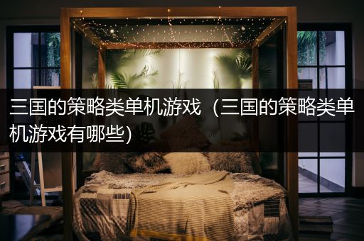 三国的策略类单机游戏（三国的策略类单机游戏有哪些）