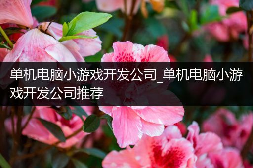 单机电脑小游戏开发公司_单机电脑小游戏开发公司推荐